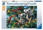 Puzzle 500 Teile - Koalas im Baum